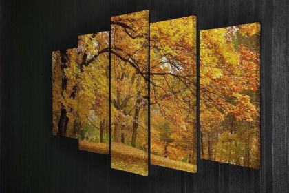 Gold Trees in a park 5 Split Panel Canvas (Type: Standard Framed Canvas Print (Split-Panel), size: 64" x 32" / 162cm x 85cm (Approx))