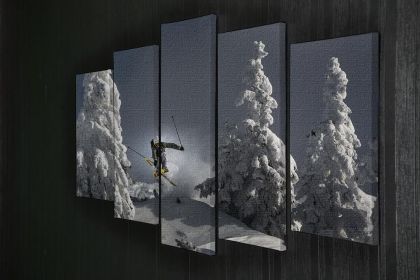 Ski is life 5 Split Panel Canvas (Type: Standard Framed Canvas Print Split-Panel, size: 64" x 32" / 162cm x 85cm Approx)