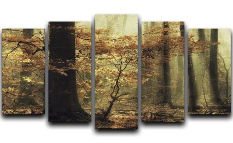 Soft Fall 5 Split Panel Canvas (Type: Standard Framed Canvas Print (Split-Panel), size: 44" x 24" / 115cm x 65cm (Approx))