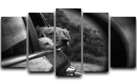 Riffelsee 5 Split Panel Canvas (Type: Standard Framed Canvas Print Split-Panel, size: 44" x 24" / 115cm x 65cm Approx)