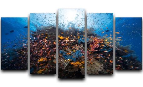Life Explosion 5 Split Panel Canvas (Type: Standard Framed Canvas Print (Split-Panel), size: 44" x 24" / 115cm x 65cm (Approx))