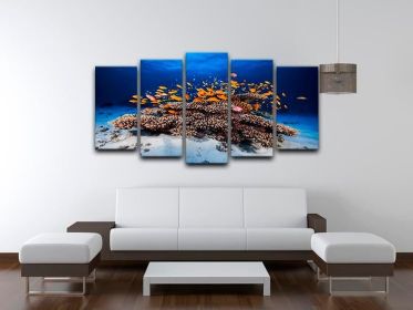 Marine Life 5 Split Panel Canvas (Type: Standard Framed Canvas Print (Split-Panel), size: 84" x 40" / 214cm x 100cm (Approx))