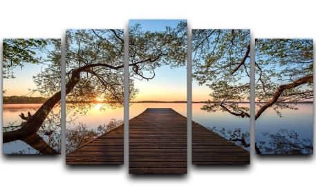 Framed 5 Split Panel Canvas (Type: Standard Framed Canvas Print (Split-Panel), size: 44" x 24" / 115cm x 65cm (Approx))
