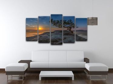 Old Pine 5 Split Panel Canvas (Type: Premium Framed Canvas Print (Split-Panel), size: 64" x 32" / 162cm x 85cm (Approx))